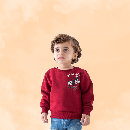 Baby Boy Sweatshirt & Hoodies - Ninos Kids store