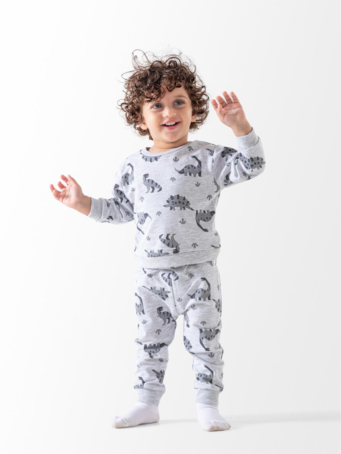 Dino 4PCS Set