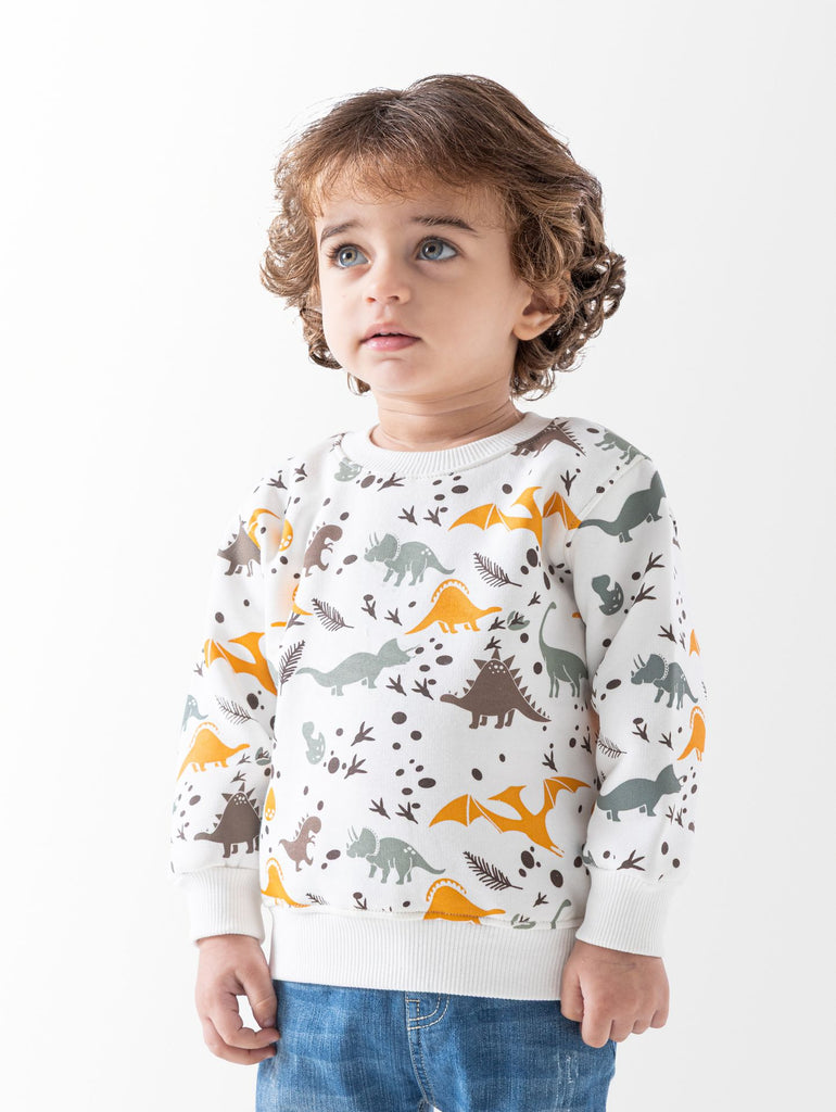 Dinosaur Sweatshirt