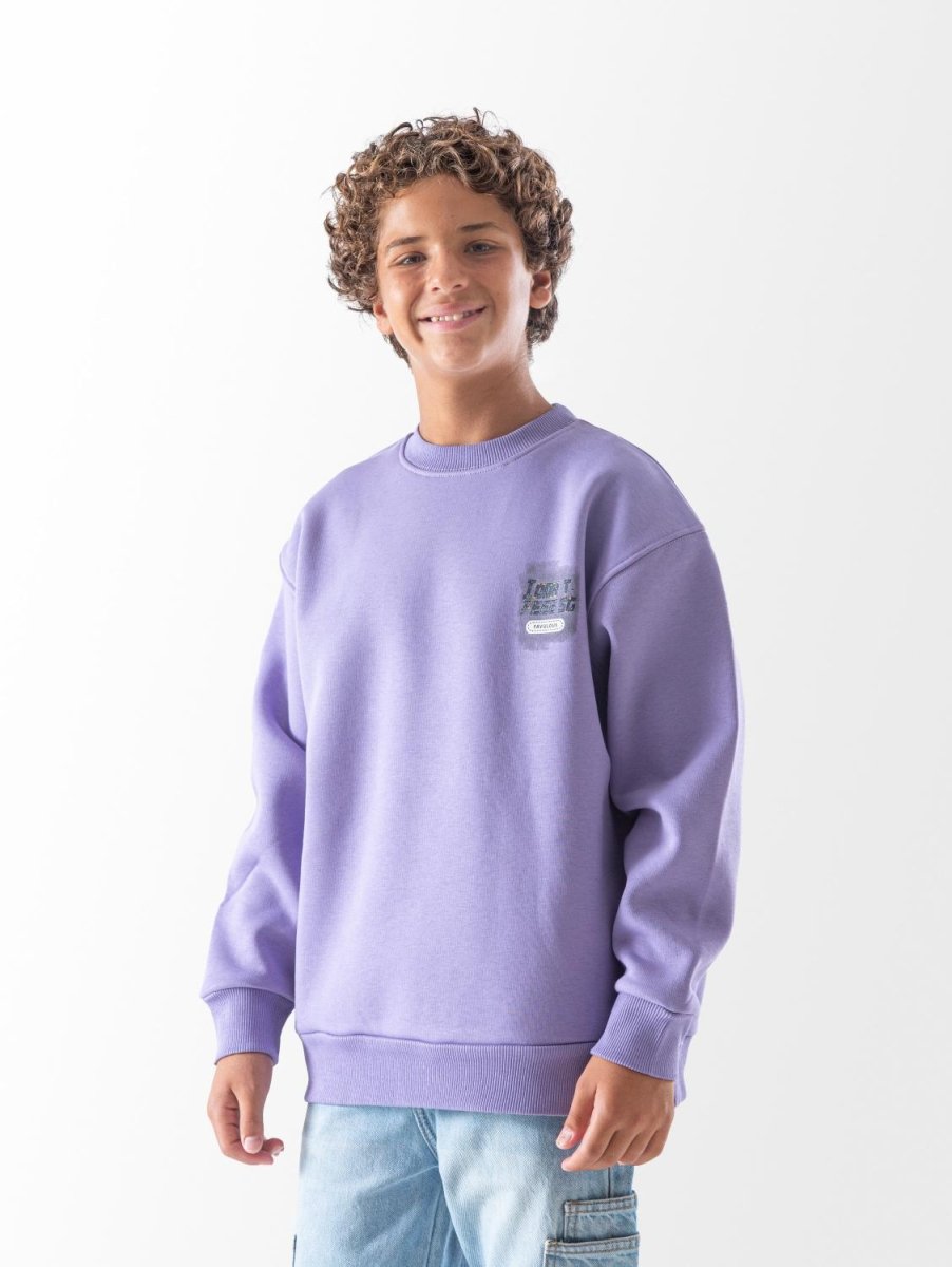 Ninos Kids storeBoys' Lavender Fight SweatshirtSweatshirtsNINOS
